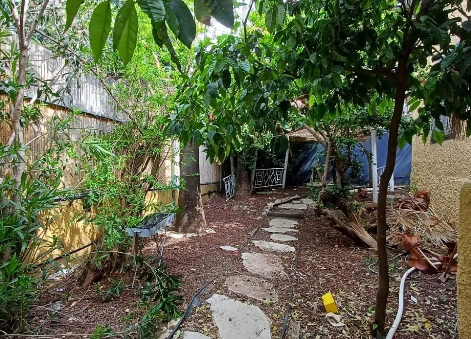 Ninna-Masada Suite Hayfa